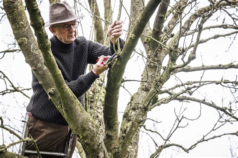 sex voor klusjes|Tuin doen